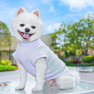 Breathable ice silk mesh pet vest on a Pomeranian for summer sun protection outdoors