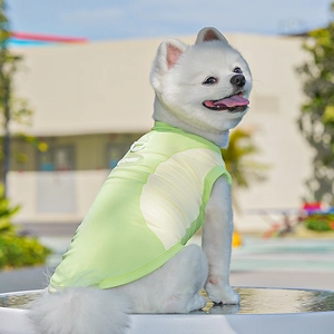 Light green breathable dog sports vest with D-ring and mesh fabric for summer