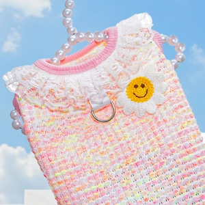 Detail of pet knit dress with lace collar and daisy charm against a bright blue sky