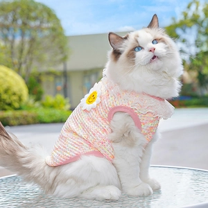 Close-up of pink and yellow knit pet vest with lace collar and sunflower on a cat
