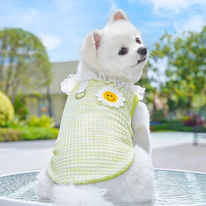 Close-up of yellow plaid dog vest with white lace collar and sunflower decor