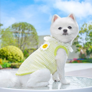 Detail of green plaid pet vest featuring a lace collar and smiley daisy embroidery