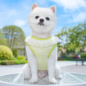 Macro detail of breathable light green knitted pet vest with elegant white lace collar
