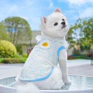 Close-up of knit pet vest with sunflower embroidery and lace collar on a small dog