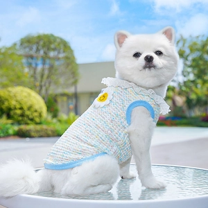 Detail of light blue pet knit vest with white lace collar and yellow daisy embroidery