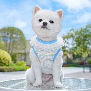 Close-up of white Pomeranian in a breathable rainbow knit pet vest with lace collar detail