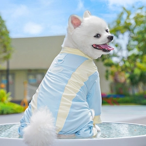Détail de la combinaison de protection solaire pour chien avec maille et anneau en D