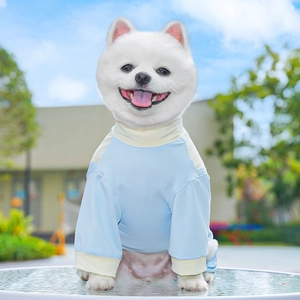 Détail d'un tissu en maille respirante pour chien avec poignets côtelés en extérieur