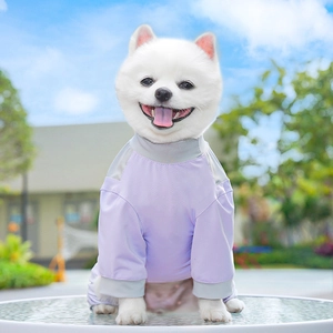 Loulou de Poméranie blanc portant un t-shirt en mesh violet clair dans un parc