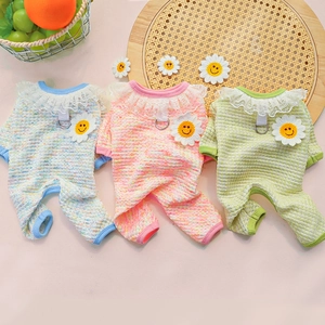 Three knit pet onesies with lace collars and daisy embroidery in blue, pink, and green