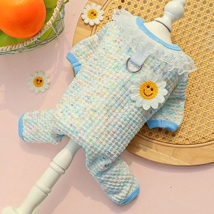 Detail of dog onesie with daisy appliqué and lace collar on blue knit fabric