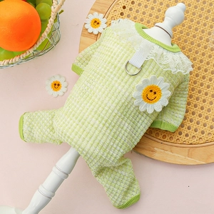 Close-up of light green pet onesie with daisy patch and integrated D-ring for leash