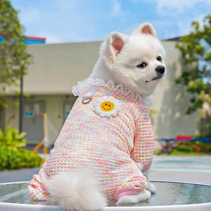Detail of rainbow pet onesie with lace collar, sunflower patch and metal D-ring attachment