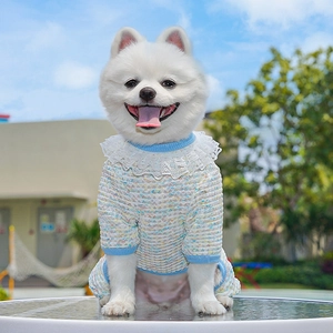 Close-up of pet dog top with white lace collar and blue trim on a sunny terrace