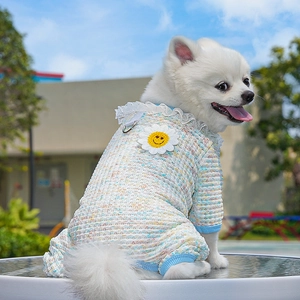 Detail of dog onesie with daisy embroidery, lace collar and D-ring on knit fabric