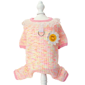 Detail of colorful knitted pet jumpsuit with floral embroidery and lace collar