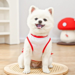 Close-up of a white breathable mesh pet vest with red piping on a Pomeranian