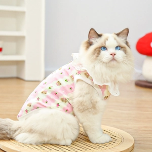 Close-up of pink striped pet vest with bear patterns and delicate white lace collar