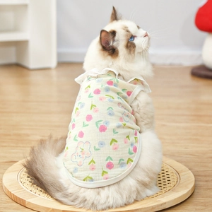 Close-up of cat summer vest showing floral teddy bear pattern and lace collar detail