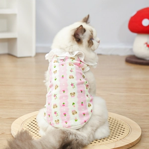 Close-up of cotton pet dress with bear patterns, lace collar, and metal D-ring buckle