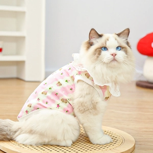 Close-up of pink striped cotton pet vest with cute bear patterns and white lace trim detail