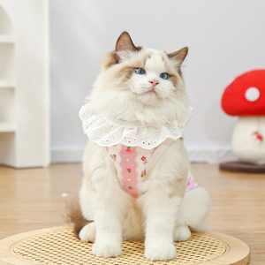 Detail of floral cotton pet vest with delicate white lace collar on a ragdoll cat