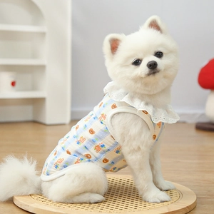 Detail of blue plaid pet vest with bear patterns and white lace ruffle collar decoration