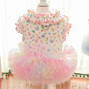Close-up of floral pet dress with lace edges and metallic D-ring for leash attachment