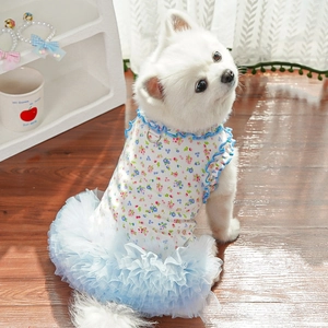 Floral pet dress with blue tiered mesh skirt and D-ring detail on a Pomeranian