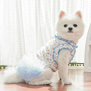 Detail of floral pet dress with blue mesh skirt and ruffled edges on cozy home background
