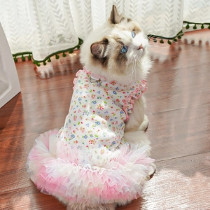 Floral pet dress for cats with ruffle collar and pink tulle skirt on wooden floor