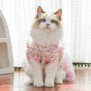 Detailed close-up of a floral pet summer dress with pink ruffles on a Ragdoll cat
