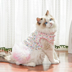 Detail of floral pet dress with mesh tutu and ruffled collar on a Ragdoll cat