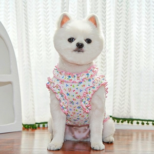 Close-up of floral pet vest with pink ruffled edges on a white Pomeranian dog