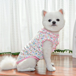 Close-up of pet summer floral vest with pink ruffled edges on a small white dog