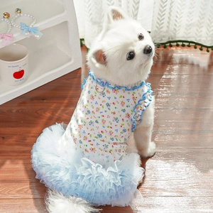 Close-up of floral pet dress with mesh skirt and D-ring on a white Pomeranian