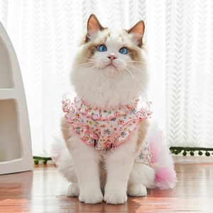 Detailed view of floral pet dress with pink ruffled collar and fluffy mesh tulle skirt