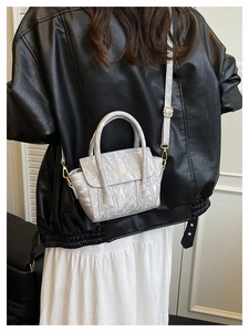 Fashionable silver pleated handbag with gold hardware shown on model for daily styling