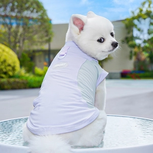 Detail of breathable mesh pet sport vest with D-ring and purple mint green color block