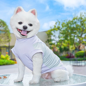 Detail of breathable lavender and green pet shirt with ribbed cuffs on a dog outdoors