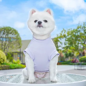 Close-up of a Pomeranian dog wearing a lavender quick-dry mesh t-shirt in a garden