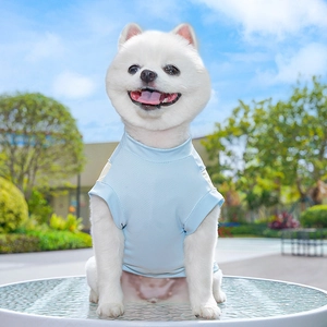 Detail of light blue breathable mesh vest on a Pomeranian for summer sun protection