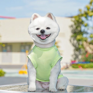Light green mesh pet vest for dogs, breathable and quick-drying summer sportswear detail