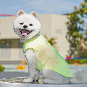 Macro detail of the yellow and green breathable mesh pet cooling vest with back zipper