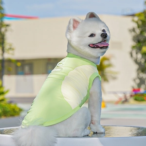 Close-up of green pet sports vest with D-ring and SPORT print on a white Pomeranian