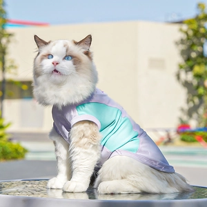 Detail of breathable lavender and green mesh pet vest with quick-dry cooling fabric