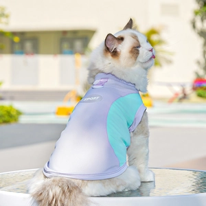 Detail of breathable mesh pet sport vest in lavender and mint green for cats