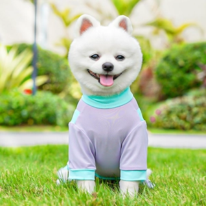 Detail of breathable mesh pet vest in purple and mint green for large dogs in summer