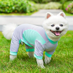 Breathable mesh dog bodysuit in mint green and grey for cooling sun protection outdoors