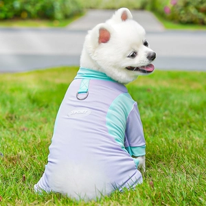 Detail of breathable mesh pet sport vest with D-ring on purple and green fabric